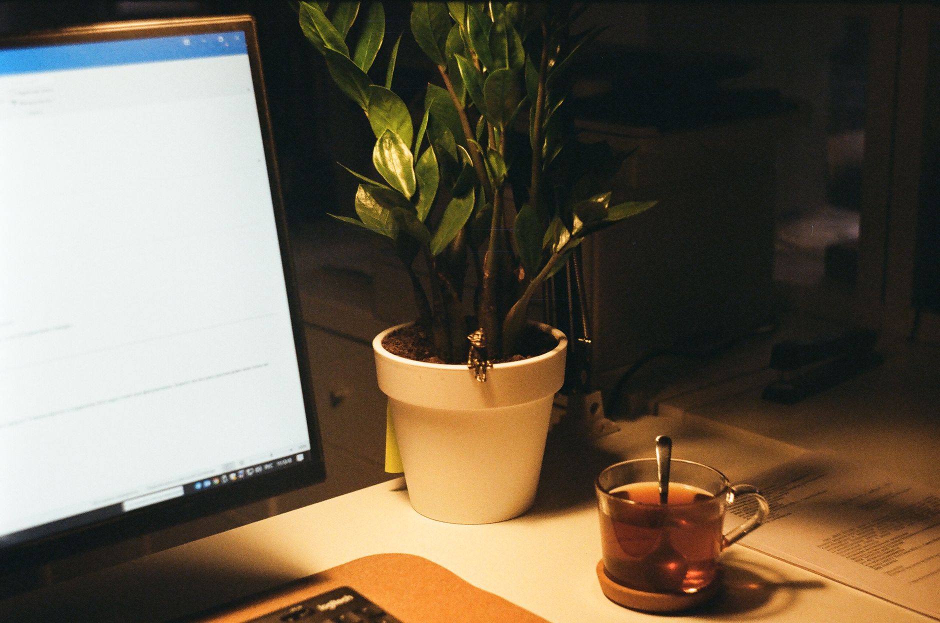 Espacio de trabajo cálido con ordenador, planta y una taza de té.
